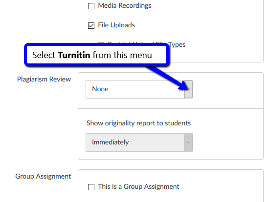 check for plagiarism turnitin