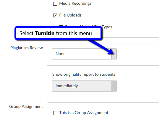 turnitin score checker