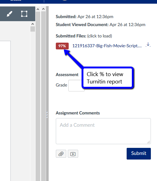 canvas turnitin